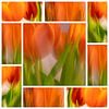 Tulipes | 9vaks-collage sur Rob van der Pijll