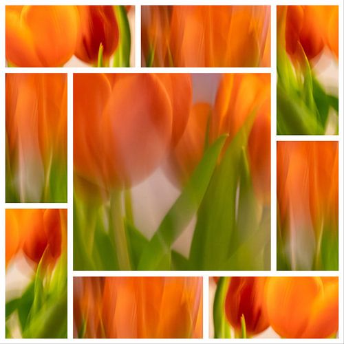 Tulips | 9vaks-collage