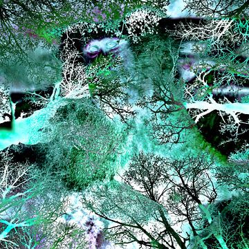 Leben im Grünen Busch der Geister  von Silva Wischeropp