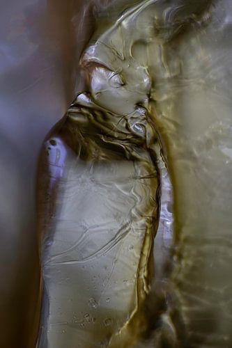 Gouden vogel | Abstracte Foto | Fine Art