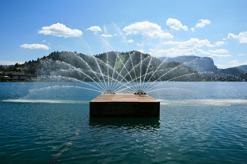 Bled fontein van Dennis Hens