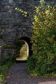 Vista in autumnal Scotland by WendyVliegt