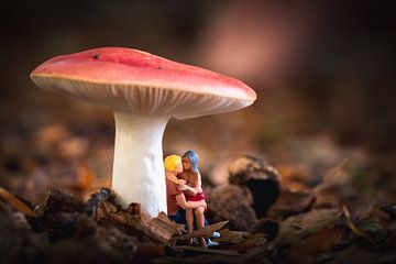 Miniature mensen: verlieft stel onder een paddenstoel van Jolanda Aalbers