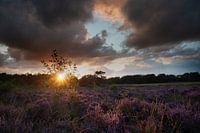 violetter Sonnenuntergang