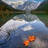 Plansee Herbst von Einhorn Fotografie