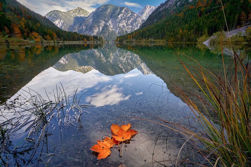 Plansee Herbst von Einhorn Fotografie