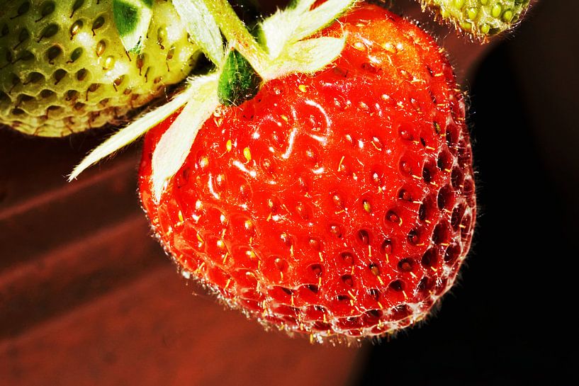 strawberry by joyce kool