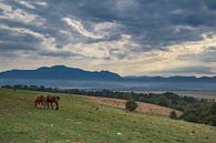 Landschaft im schönen Transsilvanien von Steve Mestdagh Miniaturansicht