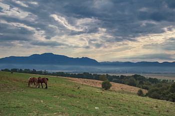 Landschaft im schönen Transsilvanien