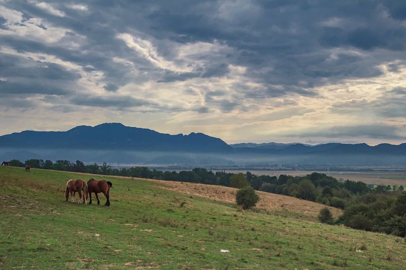 Landschaft im schönen Transsilvanien von Steve Mestdagh