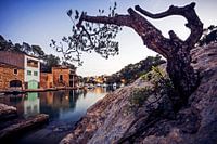 Mallorca - Cala Figuera