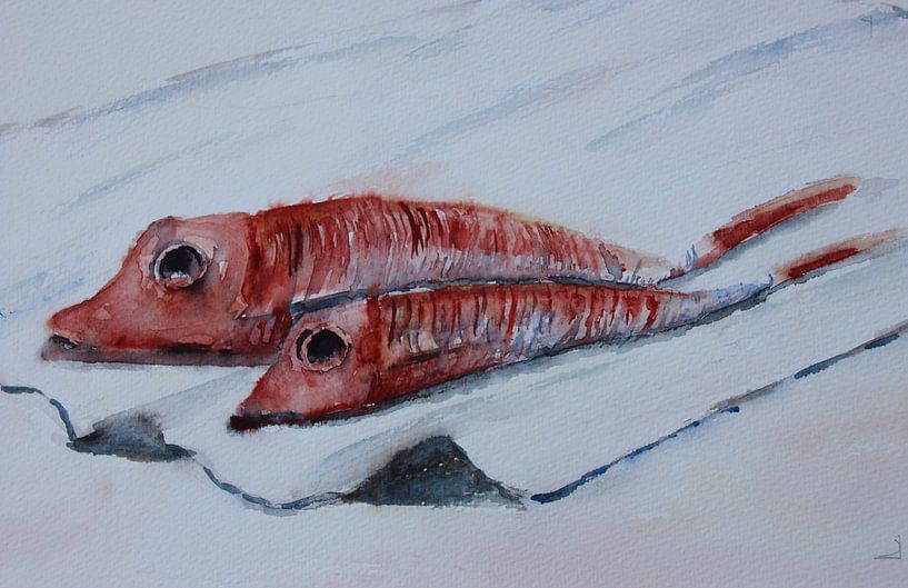 Fresh Catch - Tasty ? by Anja Zinken Bertens