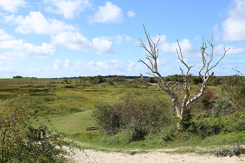 Schiermonnikoog – Aussicht auf die Kobbedünen