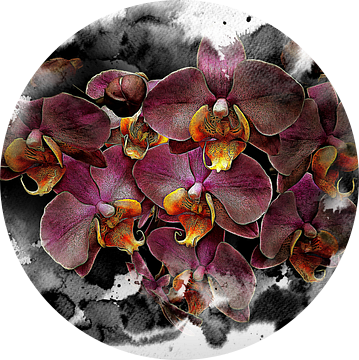 Dromen van orchideeën van Dorothy Berry-Lound