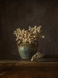 Hasenschwänze von Miriam Meijer, en pleine campagne.....