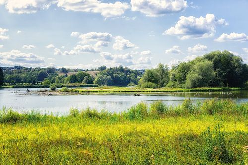 Flusslandschaft an der Reuss in der Schweiz