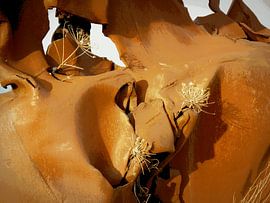 Scheepswand Ruigoord van Redroof Productions