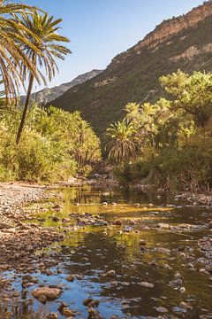 Vallée du Paradis sur Andy Troy