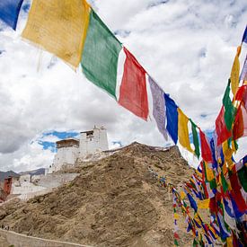 Maitreya-Tempel in der Nähe von Leh, Ladakh, Indien von Jan Fritz