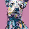 Chien en explosion de couleurs de style Pop Art avec personnage sur Eva Lee