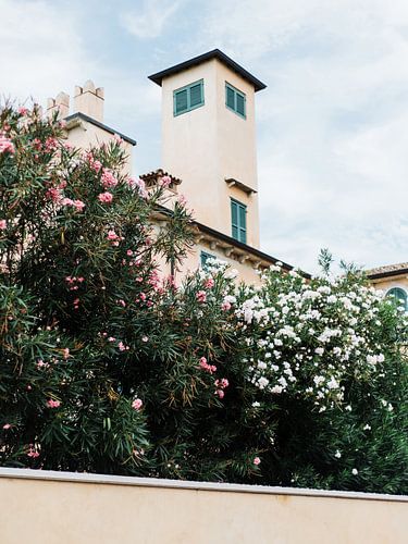 Blumen in einem italienischen Dorf