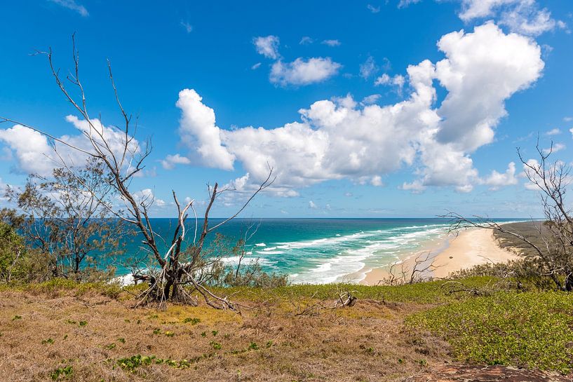 Prachtig strandlandschap op Fraser Island van Troy Wegman