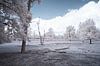 Infrarood landschap, witte bomen in een desolaat landschap van Gea Veenstra thumbnail