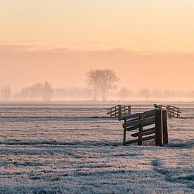 Winter in the Alblasserwaard by René Groenendijk