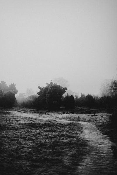 Raue Winterlandschaft des Junner Koelandes von Holly Klein Oonk