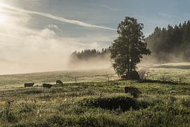 Autumn idyll in the Black Forest