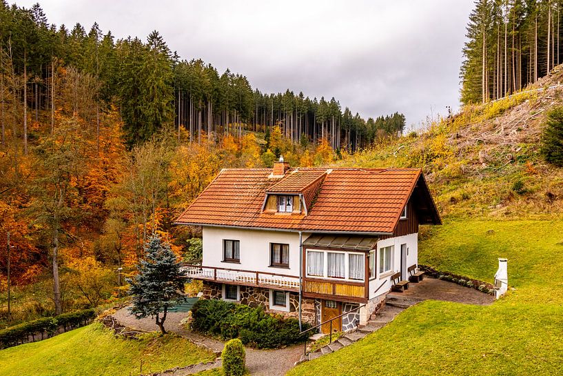 Randonnée automnale à travers le Spittergrund près de Tambach-Dietharz jusqu'à la cascade par Oliver Hlavaty