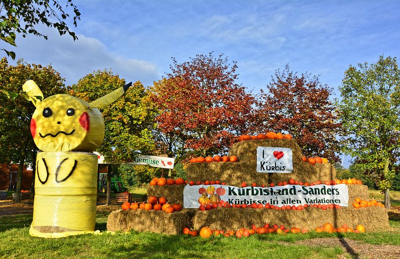 Kürbisland van Edgar Schermaul