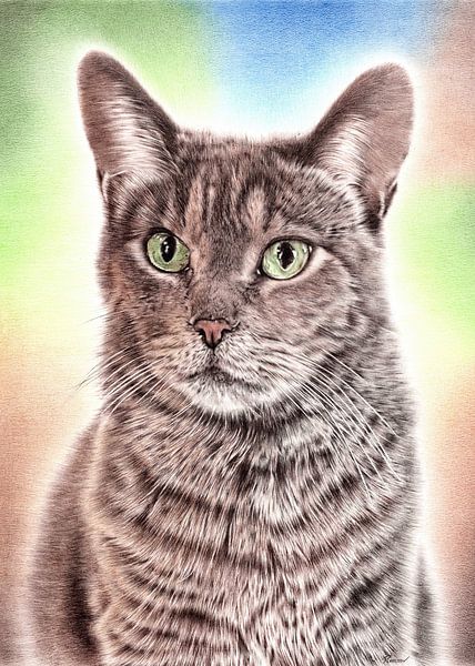 Dessin de chat par Casey Remrov Vormer