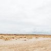Les dunes au large de la côte de Monster | Hollande sur Wandeldingen