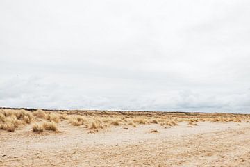 De duinen voor de kust van Monster | Holland van Wandeldingen