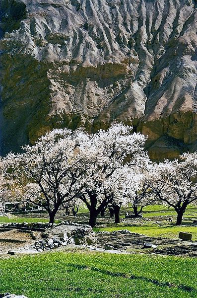 Hunza vallei in Pakistan by Caroline Bomers