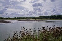 Auf einer Insel durch die Dürre