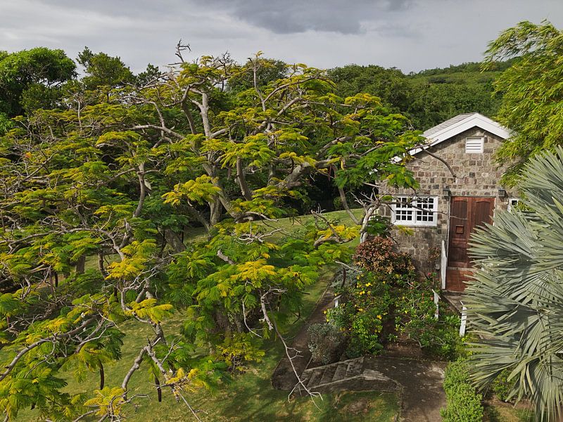 Fairview Great House & Botanical Garden op Saint Kitts & Nevis van Raymond Wijngaard