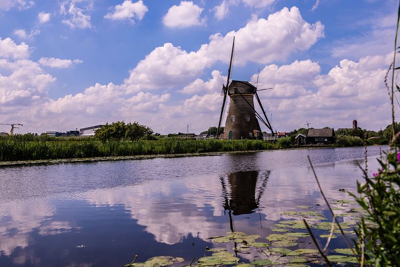 Windmills on the Kinderdijk by Brian Morgan