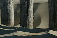 Breakwater poles by Erick van Bommel thumbnail