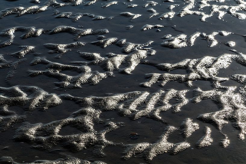 Sandstruktur | Das Wattenmeer | Terschelling - 2 von Marianne Twijnstra