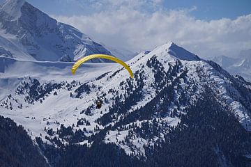 Paragliding in de Tuxer Alpen