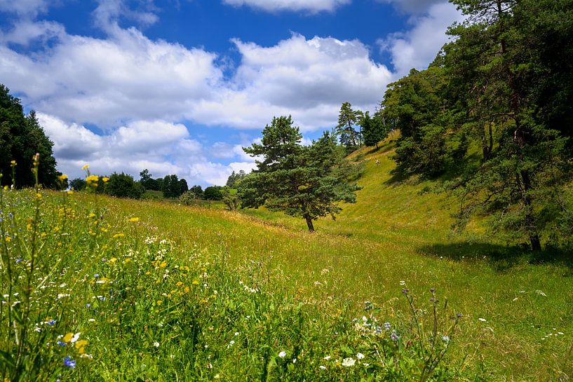 Idyllic landscape in the Altmühl valley by ManfredFotos