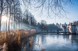 Morning Glow by Lisa Dumon