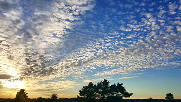 Schapenwolken op de Veluwe  van Aalt Hofman