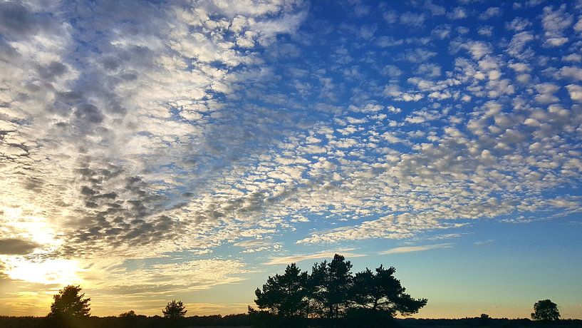 Schapenwolken op de Veluwe  van Aalt Hofman