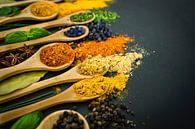 Herbs & spices, herbs & spices by Corrine Ponsen thumbnail