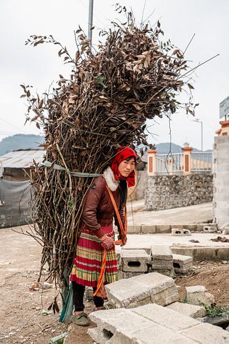 Portret van Vietnamese vrouw