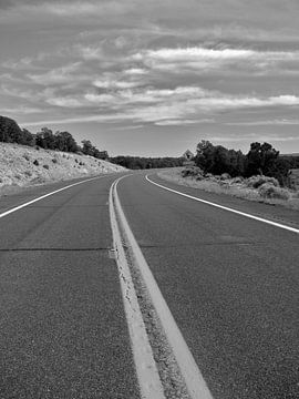 The road ahead is empty van Kim van Erp