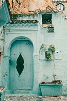 Petite porte marocaine avec plante